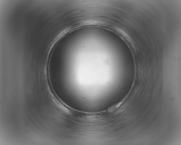 X0000071931330200607212124