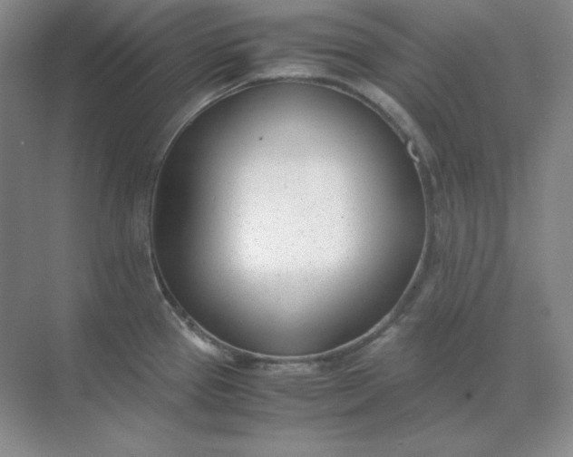 X0000071931337200607212124