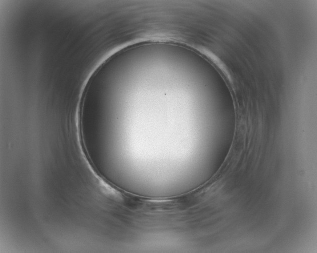 X0000071931343200607212124
