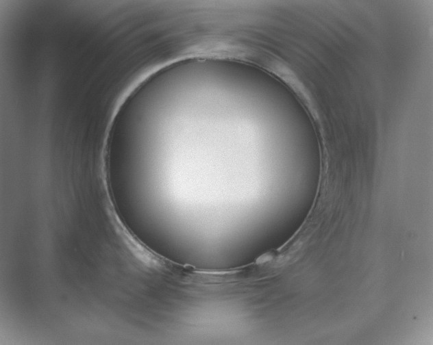 X0000071931344200607212124