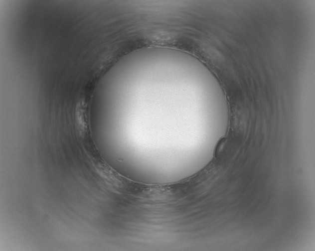 X0000071931346200607212123