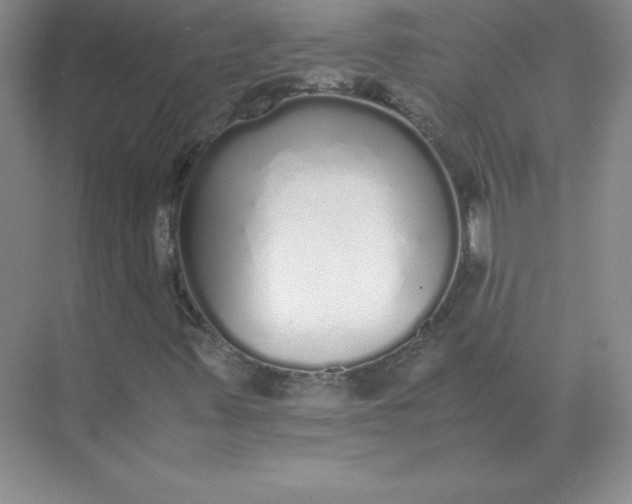 X0000071931347200607212123
