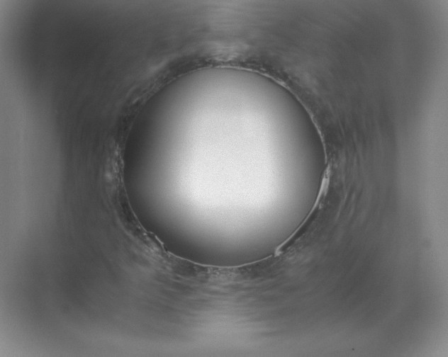 X0000071931349200607212123