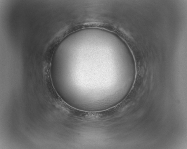 X0000071931351200607212123