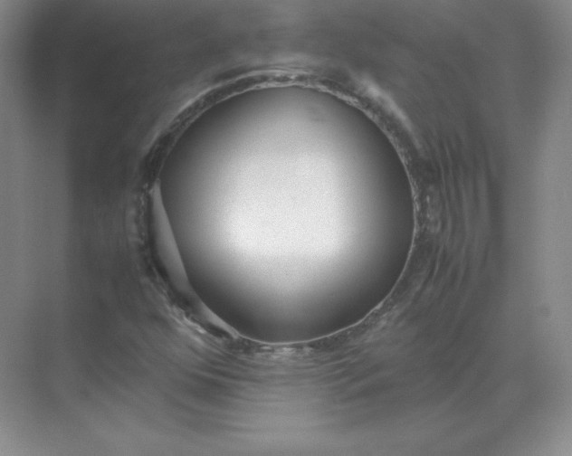 X0000071931352200607212123