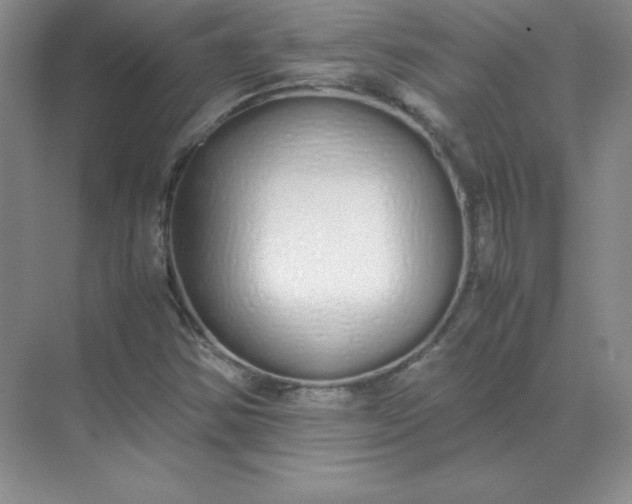 X0000071931354200607212123