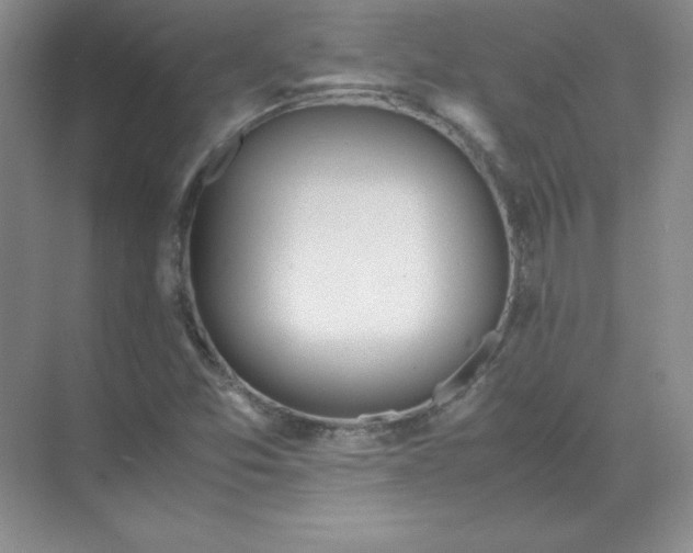 X0000071931357200607212123