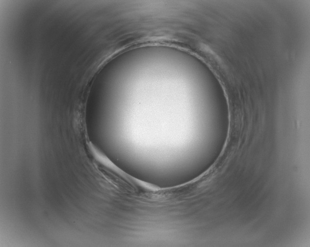 X0000071931361200607212123