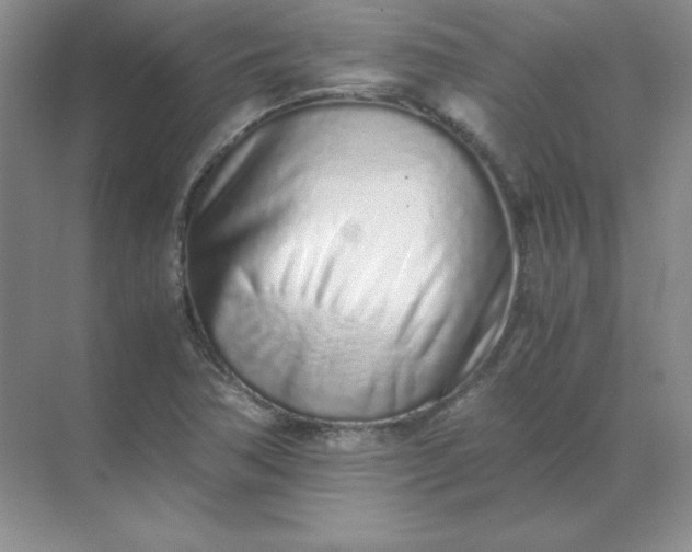 X0000071931362200607212123