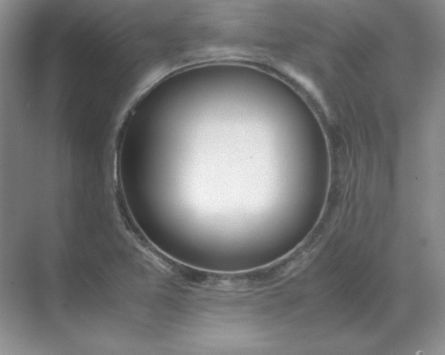 X0000071931365200607212123