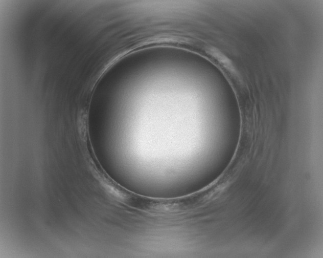 X0000071931369200607212123