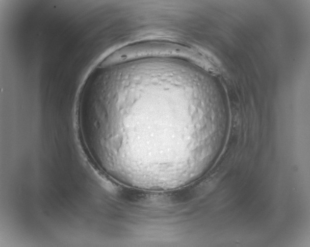 X0000071931375200607212123