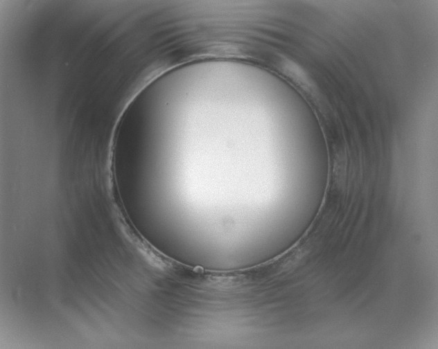 X0000071931378200607212123