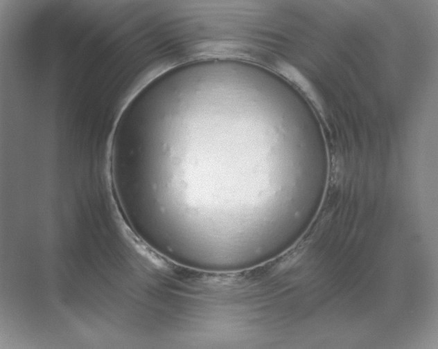 X0000071931386200607212123