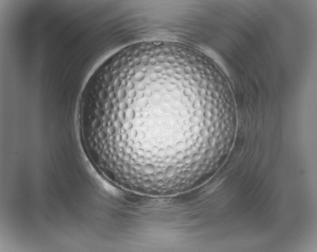 X0000071931387200607212123