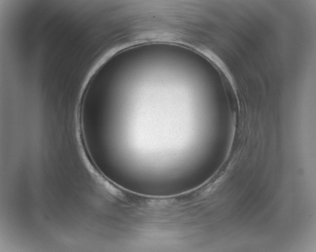 X0000071931389200607212123