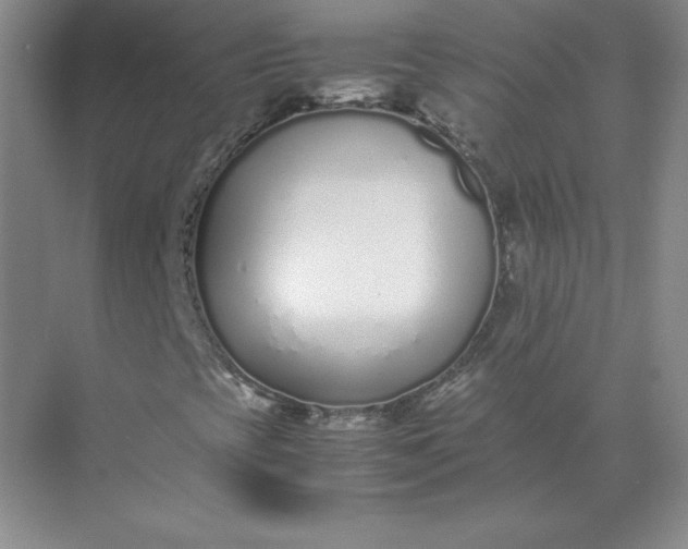 X0000071931393200607212122