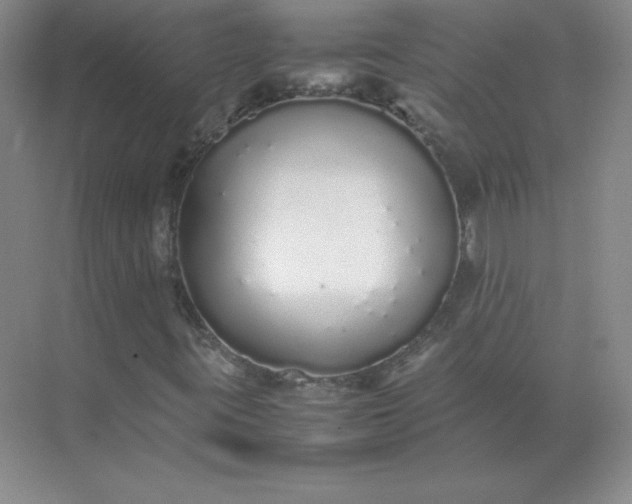 X0000071931395200607212122