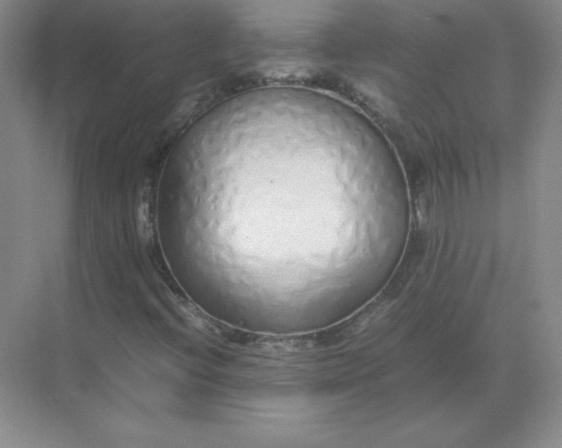 X0000071931396200607212122