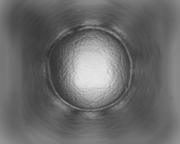 X0000071931401200607212122