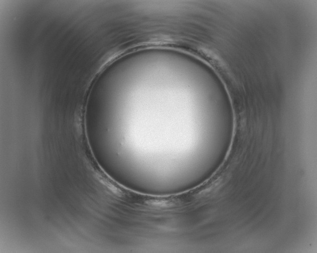 X0000071931409200607212122