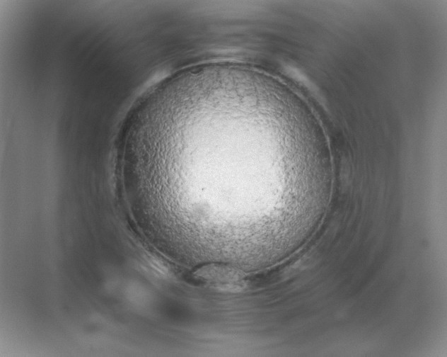 X0000071931411200607212122