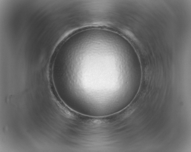 X0000071931412200607212122
