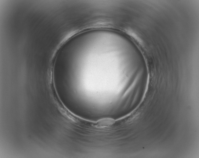 X0000071931413200607212122