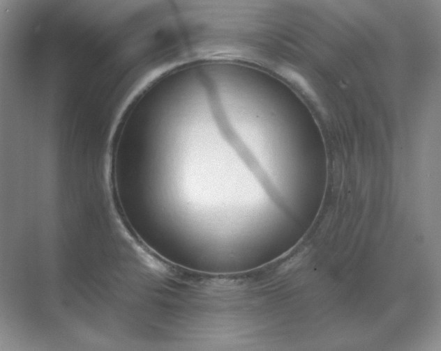 X0000071931424200607212122