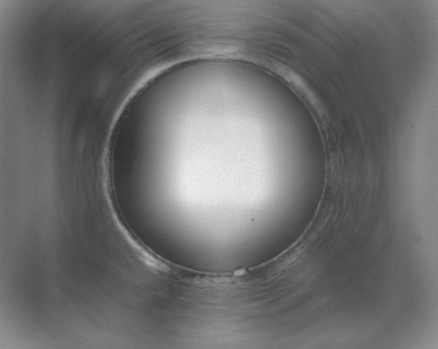X0000071931432200607212122
