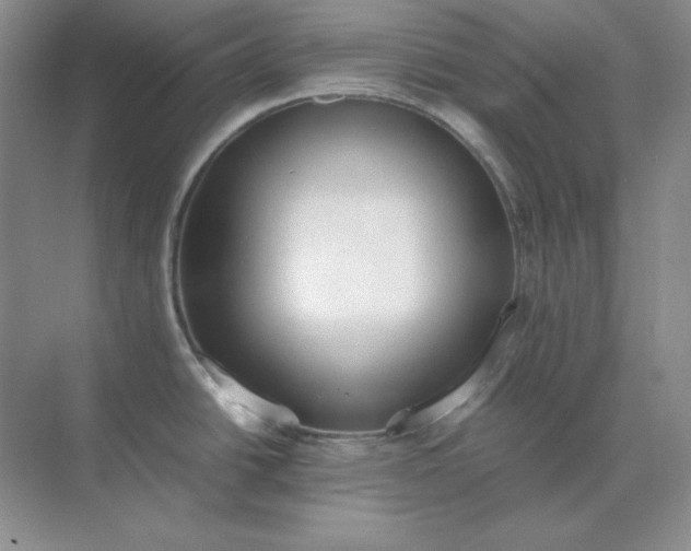 X0000071931438200607212122
