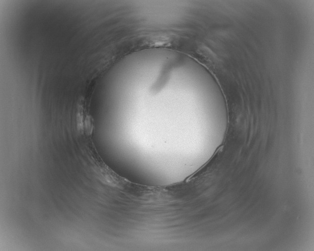 X0000071931442200607212122