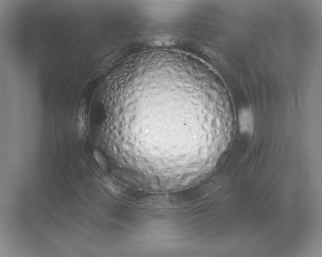 X0000071931444200607212122