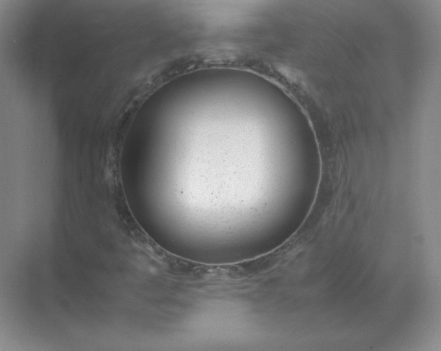 X0000071931445200607212122