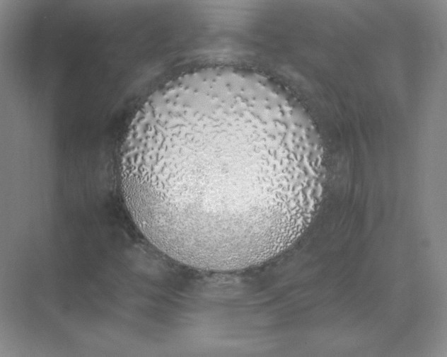 X0000071931446200607212122