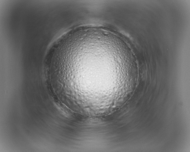 X0000071931448200607212122