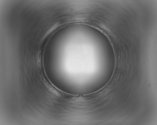 X0000071931450200607212122