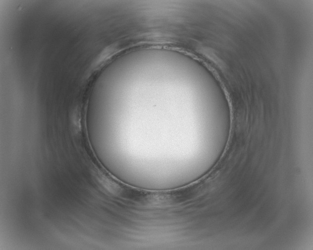 X0000071931451200607212122