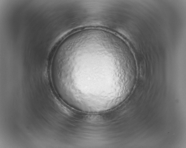 X0000071931452200607212121