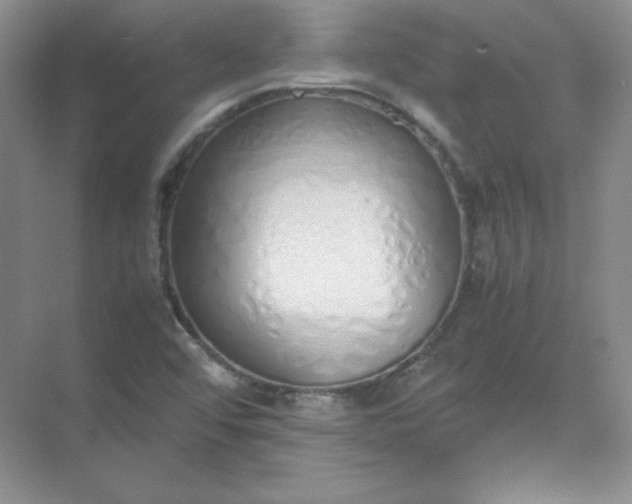 X0000071931456200607212121