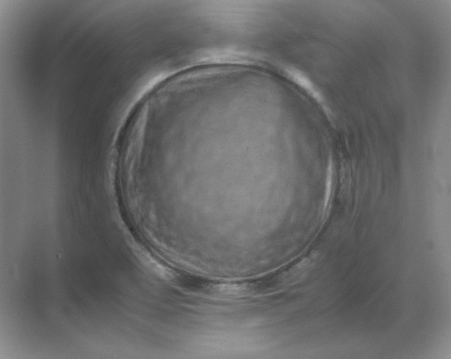 X0000071931463200607212121