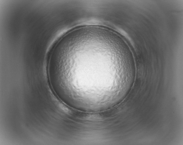 X0000071931464200607212121