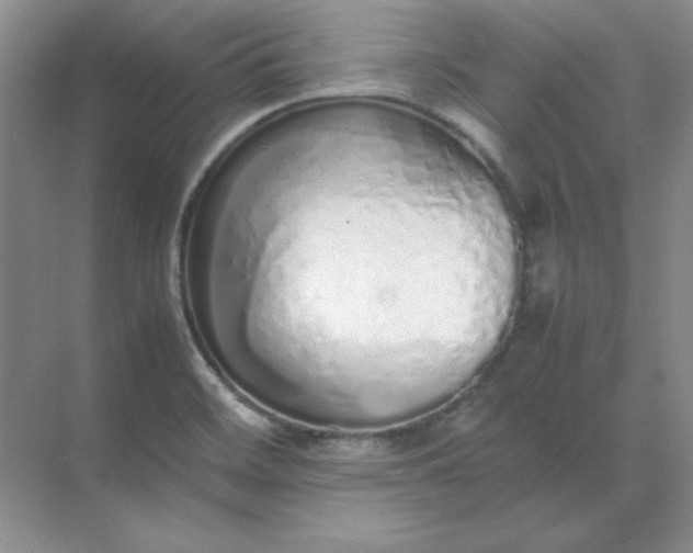 X0000071931468200607212121