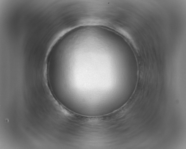 X0000071931472200607212121
