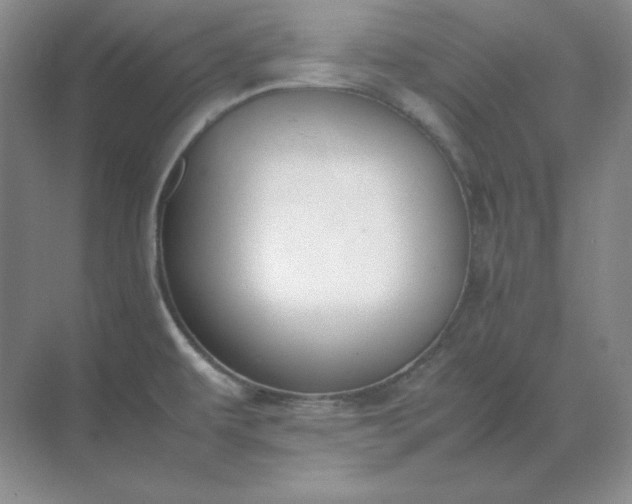 X0000071931479200607212121