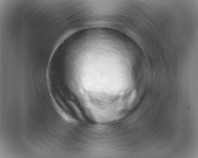 X0000071931482200607212121