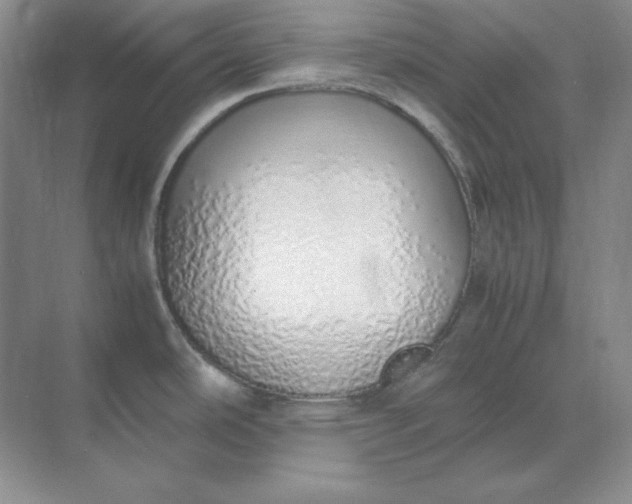 X0000071931486200607212121