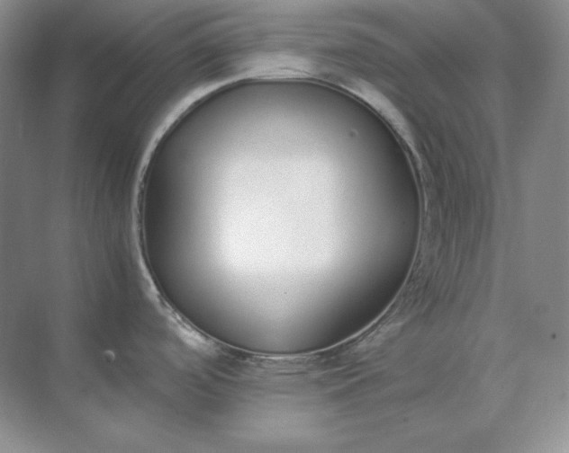 X0000071931488200607212121