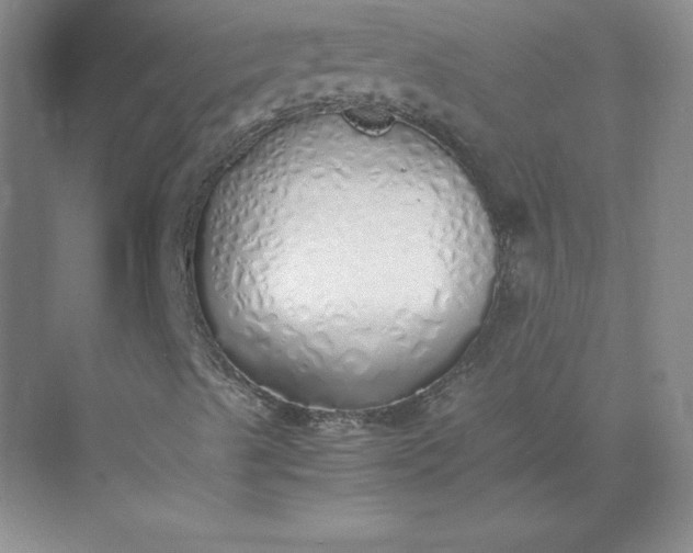 X0000071931489200607212120