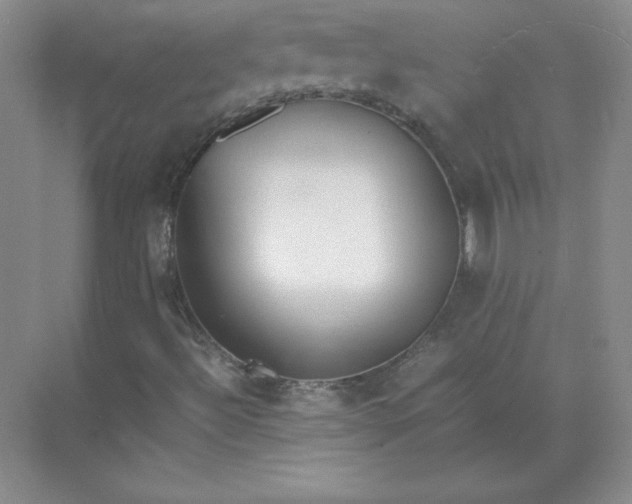 X0000071931492200607212120